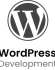 WordPress Development